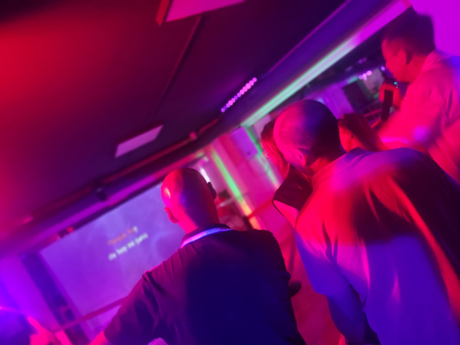 Karaoke amb micròfons sense fils en una festa privada